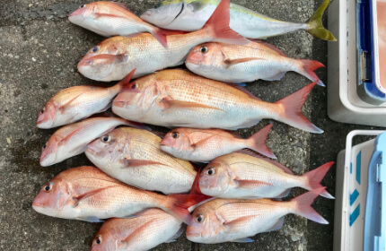 ジギング・タイラバ・ティップランエギング等／大島周辺